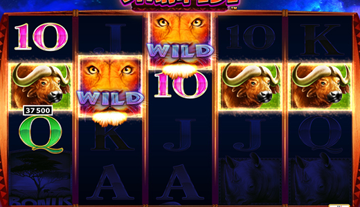 Deposito African Stampede Free Online Slots Qartulad