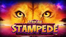 African Stampede™