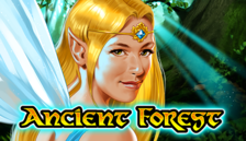 Ancient Forest
