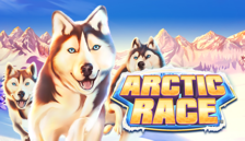 Arctic Race™
