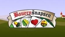 Bauernšnapsen