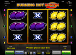 Burning Hot™ Respin Lines