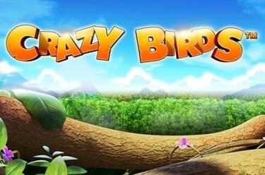 Crazy Birds - Play Game for Free - GameTop