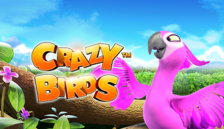 Crazy Birds™