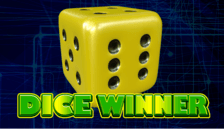 Dice Winner
