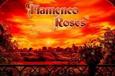 Flamenco Roses