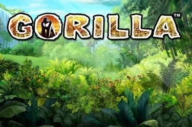 Gorilla Online Kostenlos Spielen Gametwist Casino