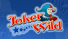 wild joker free spins no deposit
