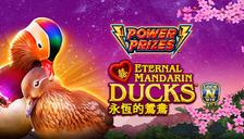 Power Prizes™ – Eternal Mandarin Ducks™ 