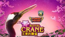 Power Prizes - Royal Crane