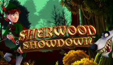 Sherwood Showdown™