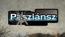 Pók Pasziánsz