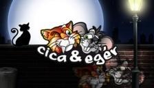 Cica és egér