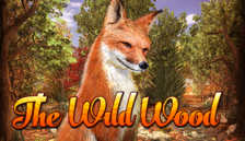 The Wild Wood