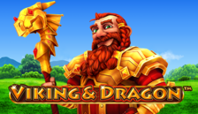 Viking & Dragon™