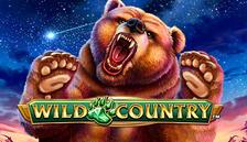 Wild Country™