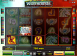 Wild Horses™ Paytable